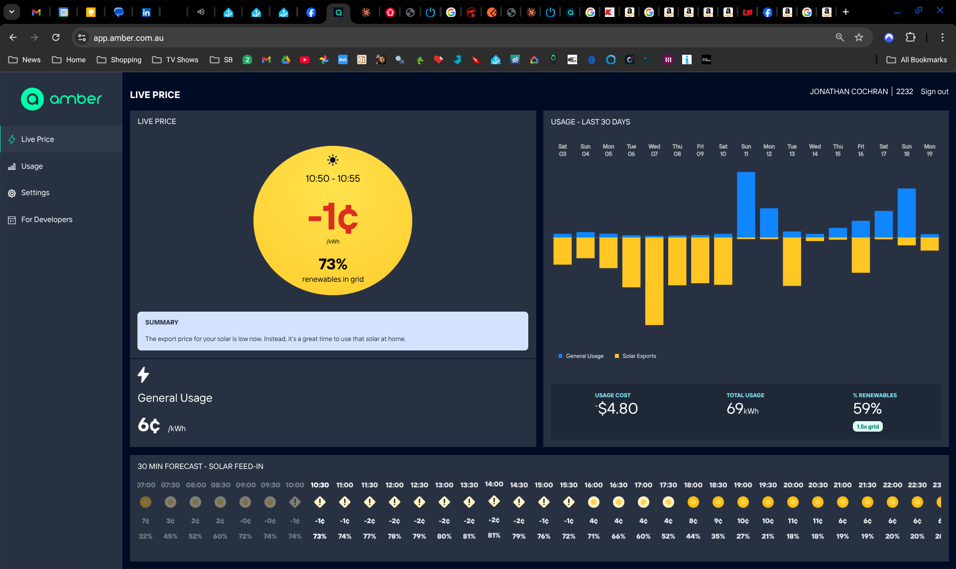 A screenshot of negative feed-in price
